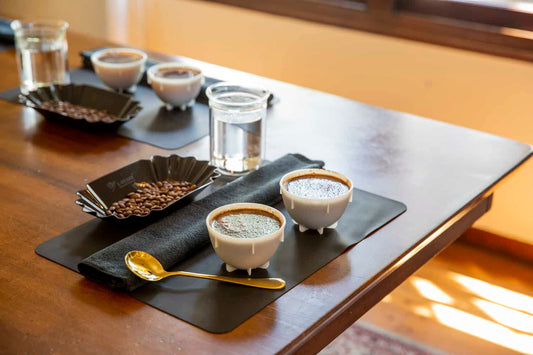 The Art and Science of CUPPING: A Guide to Evaluating and Appreciating Coffee Like a Pro
