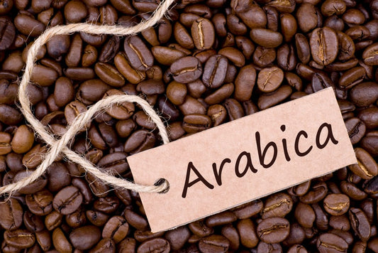A Brief Explanation of Arabica Coffee